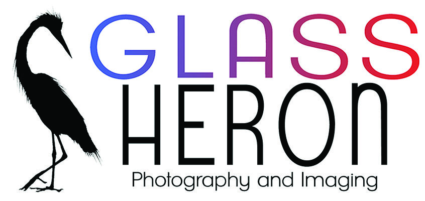 Glass Heron Photography and Imaging